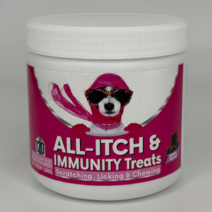 Immune and Skin Health Chews for Dogs Soft Chews