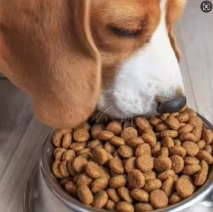 Hypoallergenic Private Label Dry Dog Food Grain Free