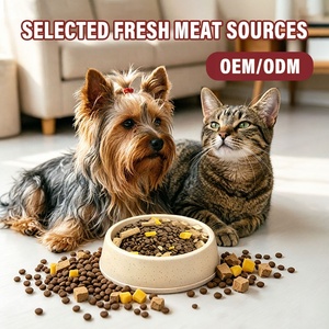 High Protein Premium Grain-Free Dry Dog Food Bulk Supplier