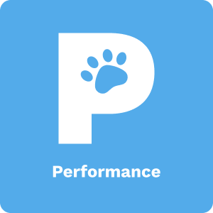 PPF Performance Framework and Business Integrity